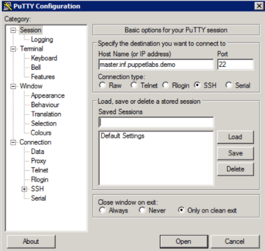 Screenshot of Pu TTY configuration window with an example host and port set for an SSH connection.
