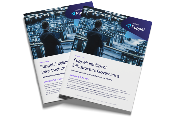 Two reports with dark blue and purple covers titled Puppet Healthcare Infrastructure Governance, featuring icons and text.