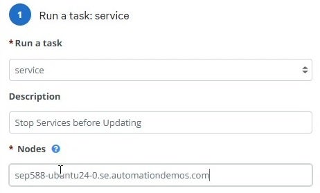 Nodes section in run a task: service