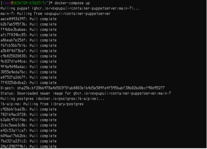 . Several Puppet nodes are deployed as containers using docker-compose