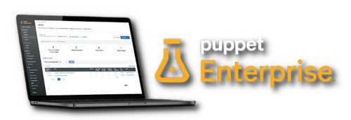 image-pup-trial-hero-shadow